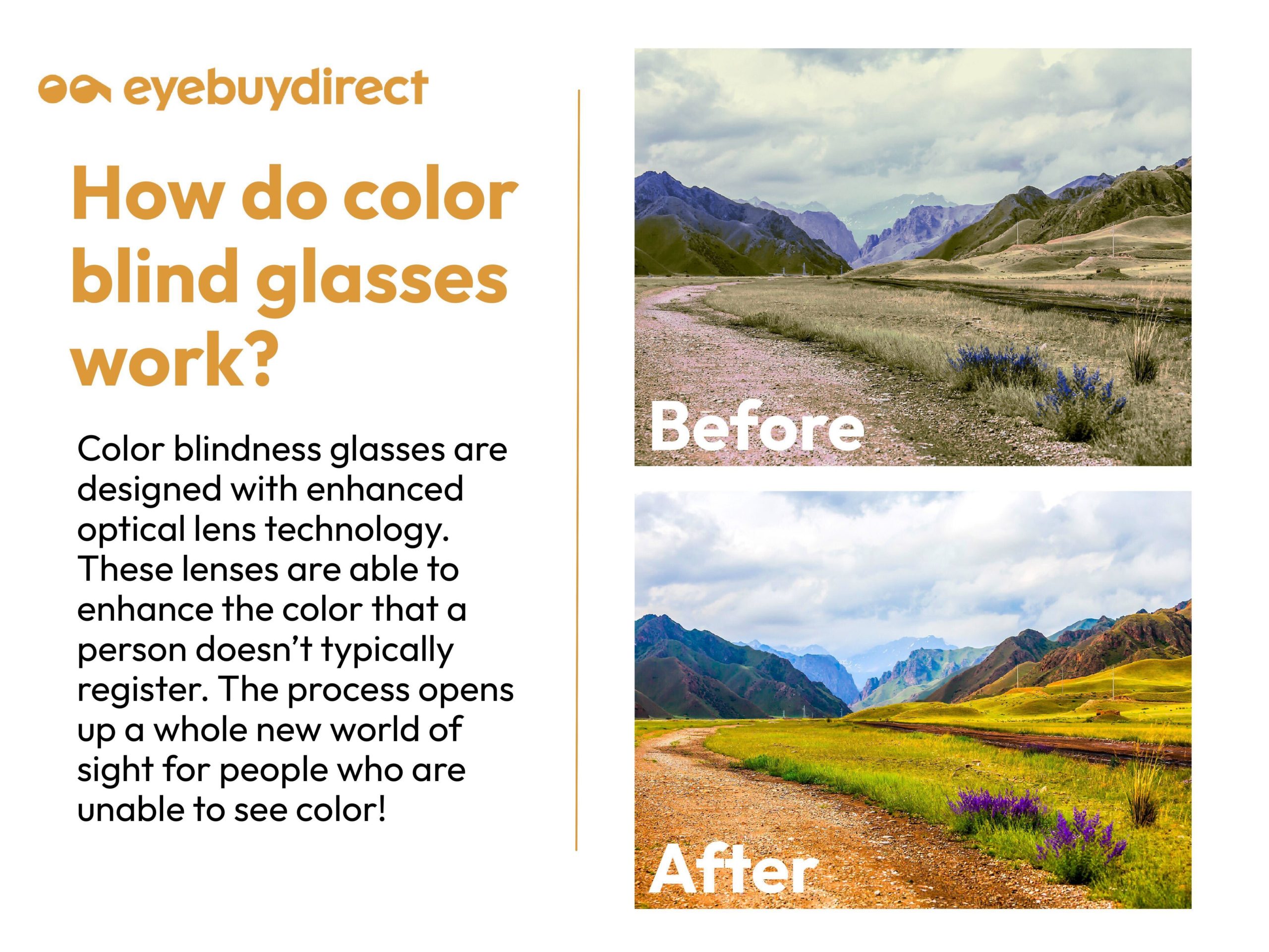 An image showing how a mountain landscape looks before and after wearing colorblindness glasses