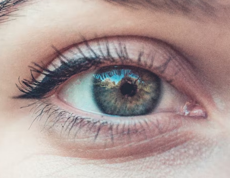 A closeup of a gray-colored eye