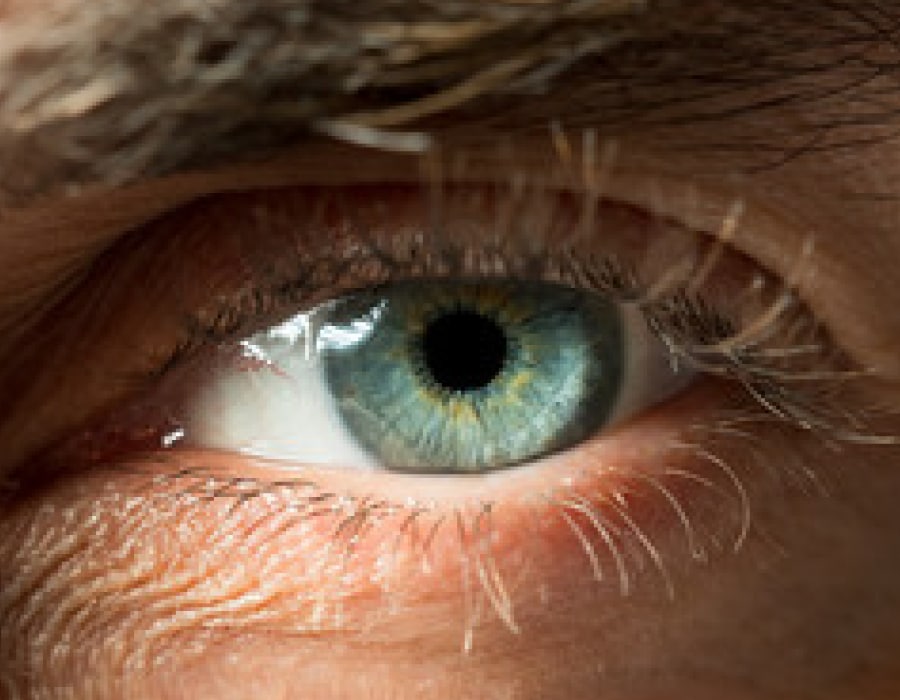 A closeup of a green-colored eye