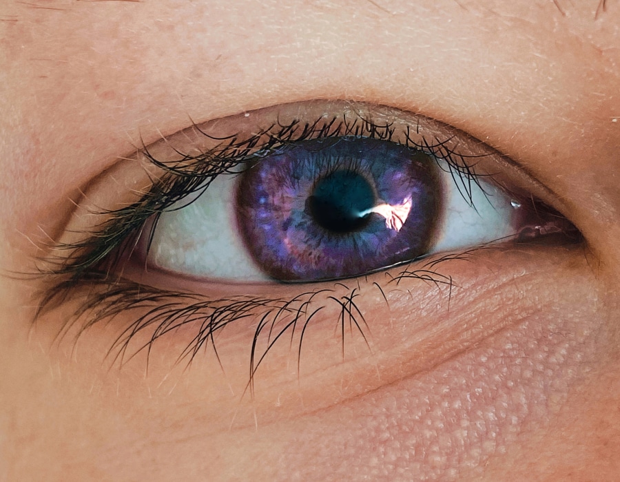 A closeup image of a violet-colored eye