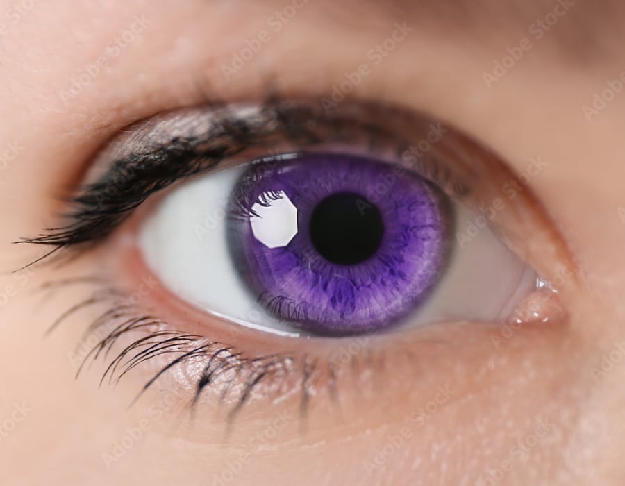 A closeup of a violet-colored eye