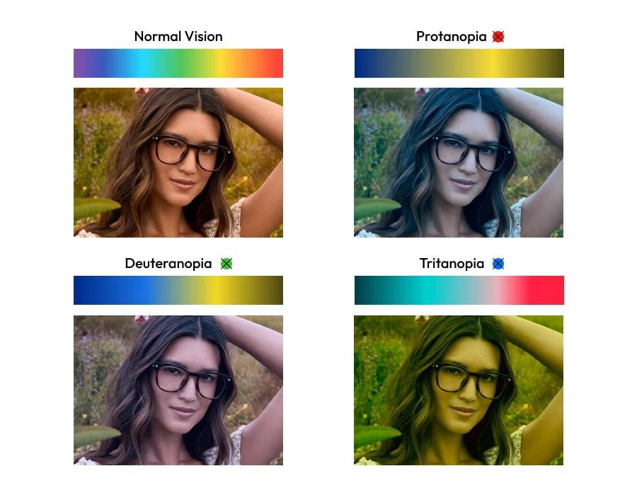 An image showing how 4 different kinds of colorblindness affect vision
