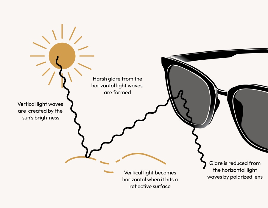 The difference between polarized and nonpolarized sunglasses