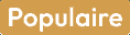 Solaires polarisantes
