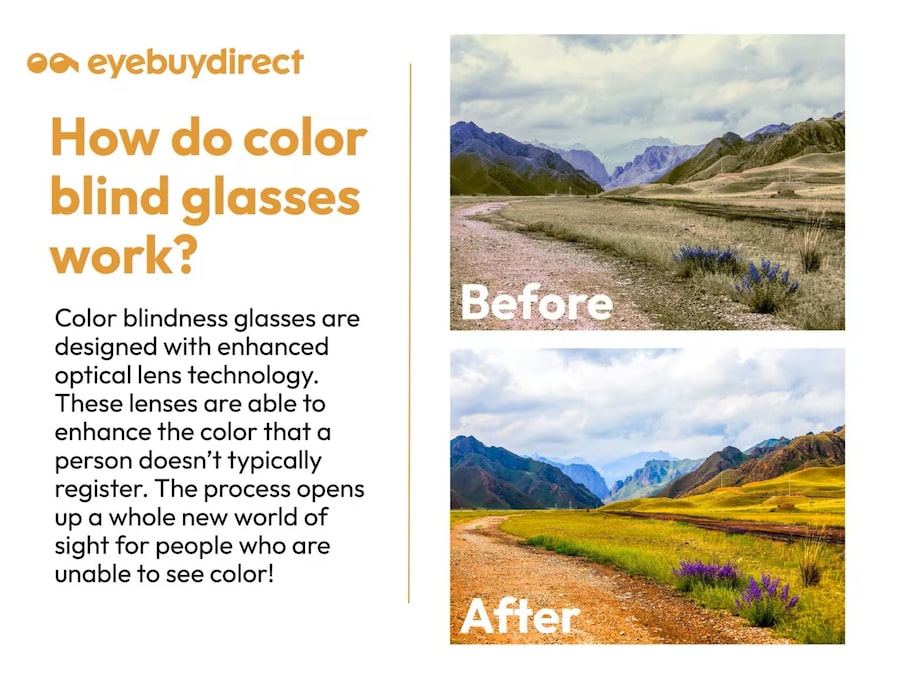 An inforgraphic showing how colorblind glasses work