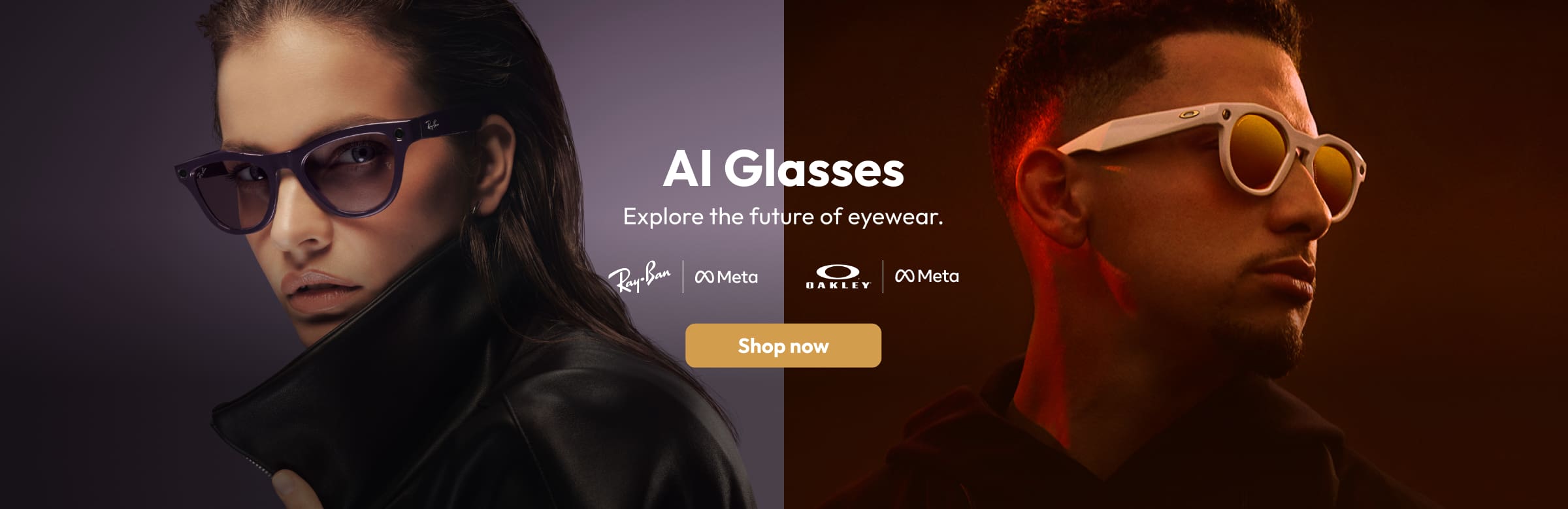 AI Glasses