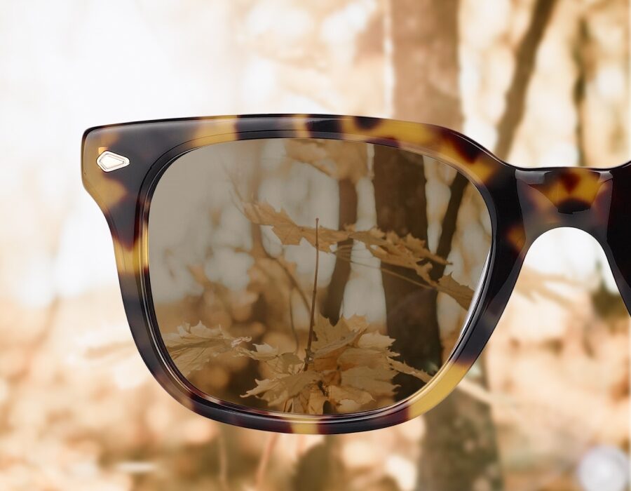 A closeup of a polarized sunglasses lens with foliage in the background