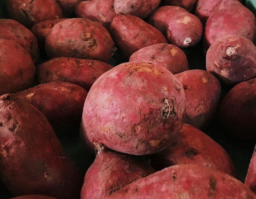 An image showing numerous sweet potatoes