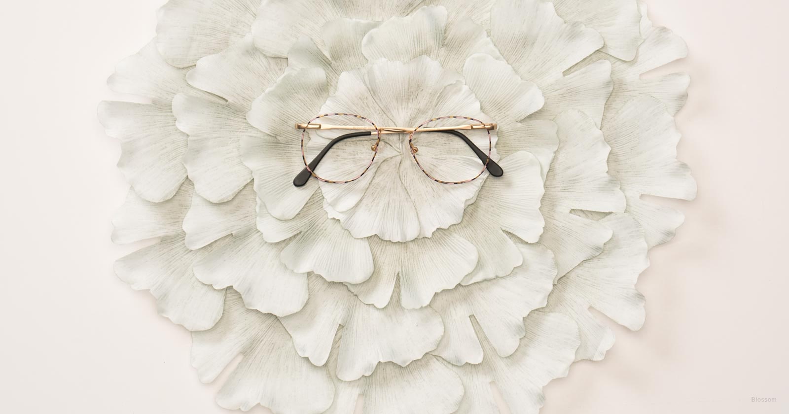 What To Do With Old Eyeglasses: Three Great Uses