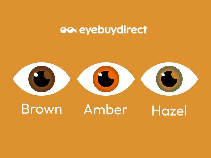 An image showing examples of brown, amber and hazel eye colors