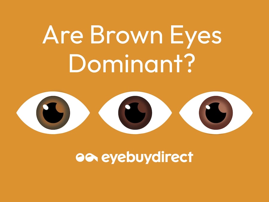An image showing different shades of brown eyes