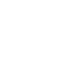LIONS