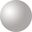 Shiny Silver
