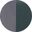 Shiny Transparent Gray