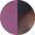 Shiny Transparent Purple