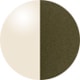Transparent Olive