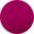 Transparent Fuchsia