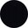Shiny Black