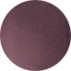 Shiny Transparent Burgundy