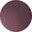 Shiny Transparent Burgundy