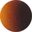 Tortoise