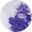 Purple Floral