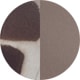 Tortoise Brown