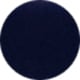 Shiny Navy