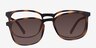 Stroll Clip-On Tortoise PlasticEyeglass Frames from EyeBuyDirect, Front View
