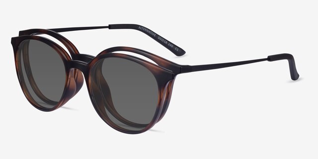 Alternative Clip-On Tortoise MetalEyeglass Frames from EyeBuyDirect, Angle View