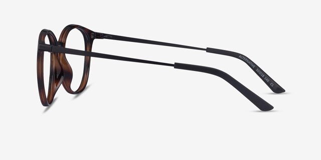 Alternative Clip-On Tortoise MetalEyeglass Frames from EyeBuyDirect, Side View