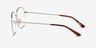 Lifetime Silver MetalEyeglass Frames from EyeBuyDirect, Side View