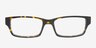 Brady Tortoise AcetateEyeglass Frames from EyeBuyDirect, Front View
