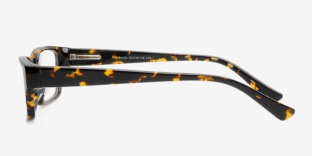 Brady Tortoise AcetateEyeglass Frames from EyeBuyDirect, Side View