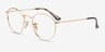 Ray-Ban RB3447V Round Gold MetalEyeglass Frames from EyeBuyDirect, Angle View