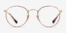 Ray-Ban RB3447V Round Tortoise & Gold MetalEyeglass Frames from EyeBuyDirect, Front View