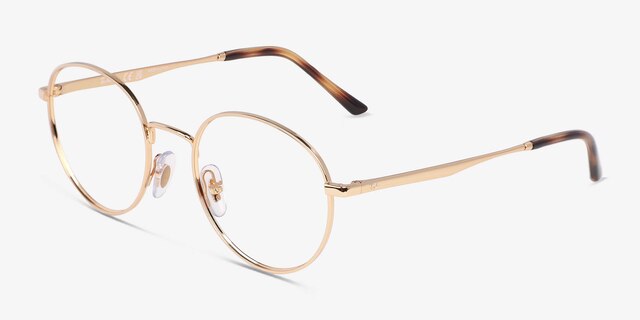 Ray-Ban RB3681V Arista MetalEyeglass Frames from EyeBuyDirect, Angle View