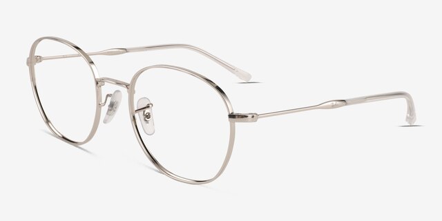Ray-Ban RB6509 Silver MetalEyeglass Frames from EyeBuyDirect, Angle View