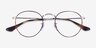 Ray-Ban RB3447V Round Silver Tortoise MetalEyeglass Frames from EyeBuyDirect, Closed View