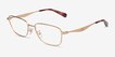 Coach HC5204 Satin Light Gold MetalEyeglass Frames from EyeBuyDirect, Angle View