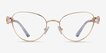 Swarovski SK1024 Gold MetalEyeglass Frames from EyeBuyDirect, Front View
