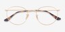 Ray-Ban RB3447V Round Arista Gold MetalEyeglass Frames from EyeBuyDirect, Closed View
