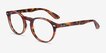 Ray-Ban RB5283 Tortoise AcetateEyeglass Frames from EyeBuyDirect, Angle View