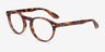 Ray-Ban RB5283 Tortoise AcetateEyeglass Frames from EyeBuyDirect, Angle View