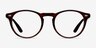 Ray-Ban RB5283 Warm Tortoise AcetateEyeglass Frames from EyeBuyDirect, Front View