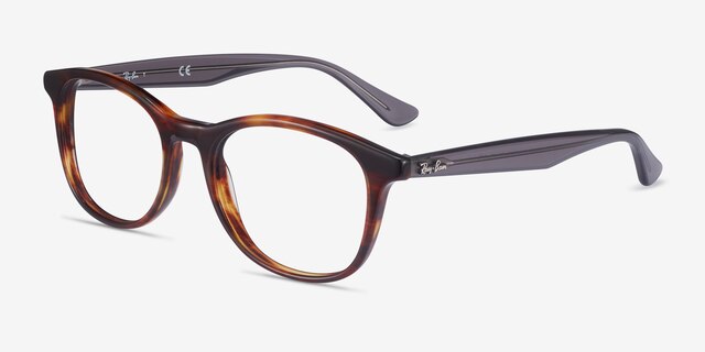 Ray-Ban RB5356 Tortoise & Gray AcetateEyeglass Frames from EyeBuyDirect, Angle View