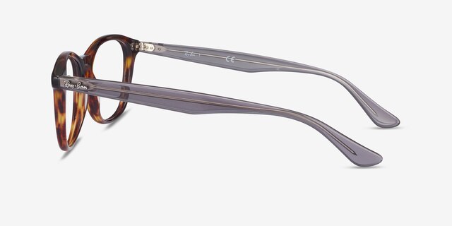 Ray-Ban RB5356 Tortoise & Gray AcetateEyeglass Frames from EyeBuyDirect, Side View