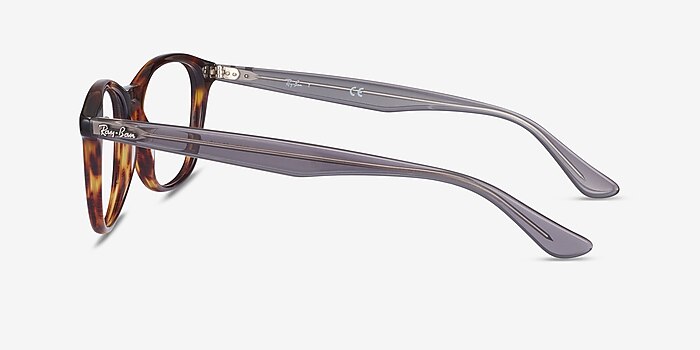 Ray-Ban RB5356 Tortoise & Gray Acetate Eyeglass Frames from EyeBuyDirect