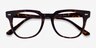 Ray-Ban Meteor Tortoise AcetateEyeglass Frames from EyeBuyDirect, Closed View