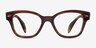 Ray-Ban RB0880 Brown Striped AcetateEyeglass Frames from EyeBuyDirect, Front View